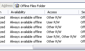 Offline Files Folder