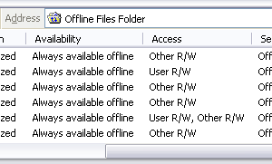 Detail View of the Offline Files Folder Offline Files Folder