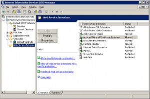 IIS Manager showing Web Service Extensions