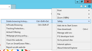 ie-safety-menu